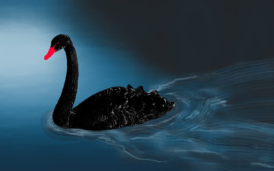 Is the COVID-19 Outbreak a Black Swan or the New Normal?